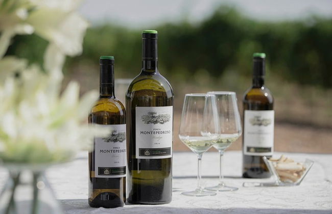 Visita alla cantina Finca Montepedroso - Foto 5