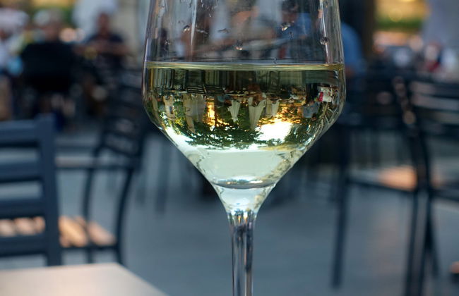 Finca Montepedroso Winery Visit - Photo 7