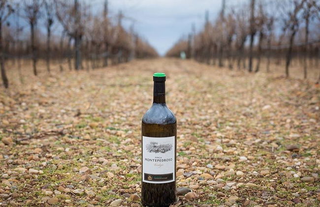 Visita alla cantina Finca Montepedroso - Foto 4
