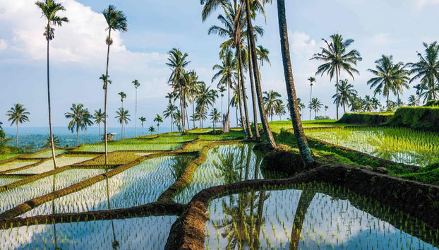 Trek privé de 3 jours sur le cratère Senaru - Photo 2