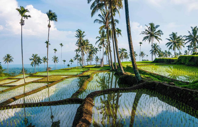 Trek privé de 3 jours sur le cratère Senaru - Photo 2
