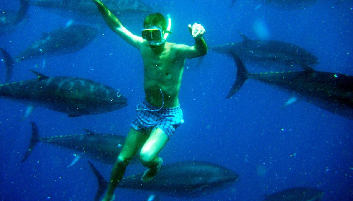 La Ametlla de Mar Swimming with Tuna Experience - Foto 1