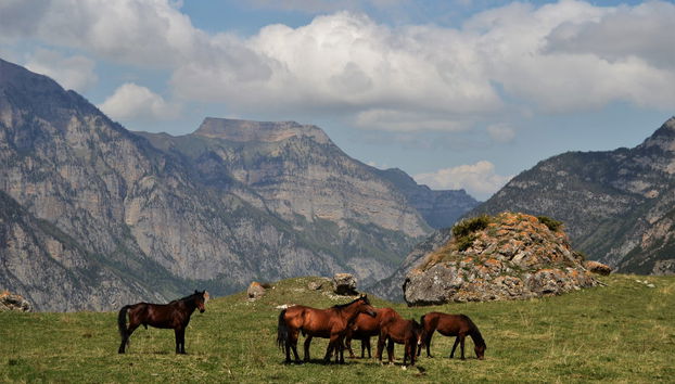 Alanya Mountains Horseback Ride - Foto 3