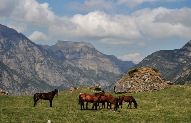 Paseo a caballo por las montañas de Alanya - Foto 3
