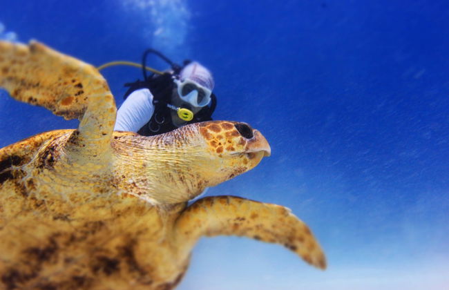 Buceo en Punta Maroma - Foto 2
