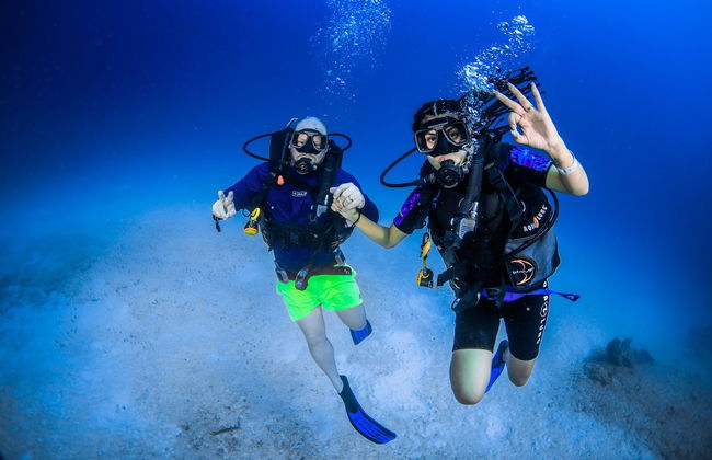 Buceo en Punta Maroma - Foto 8