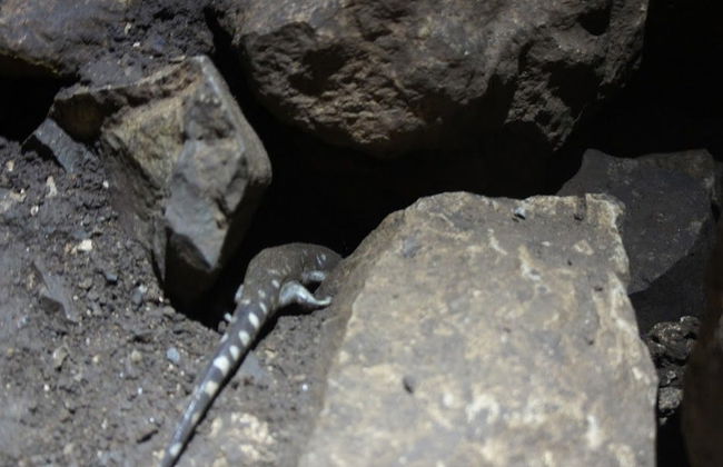 Espeleología en la gruta de La Puente - Foto 5