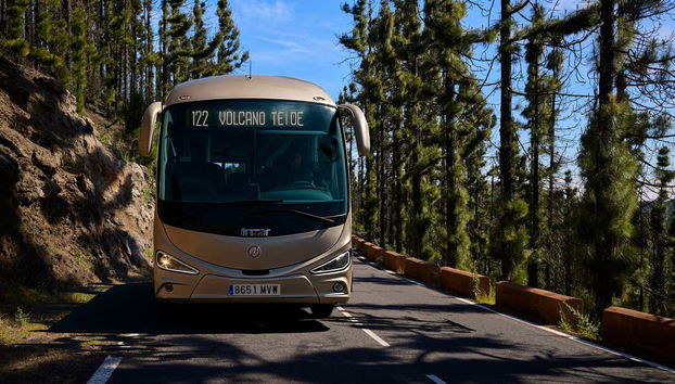 Tour astronomico sul Teide dal sud di Tenerife - Foto 5