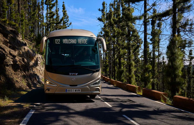 Tour astronómico por el Teide desde el sur de Tenerife - Foto 5