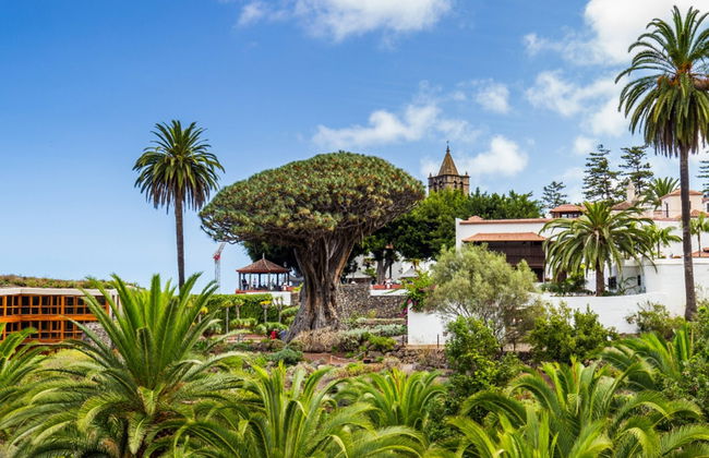 Tenerife Private Excursion - Photo 2