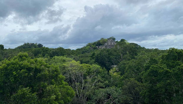 Calakmul Day Trip - Foto 2