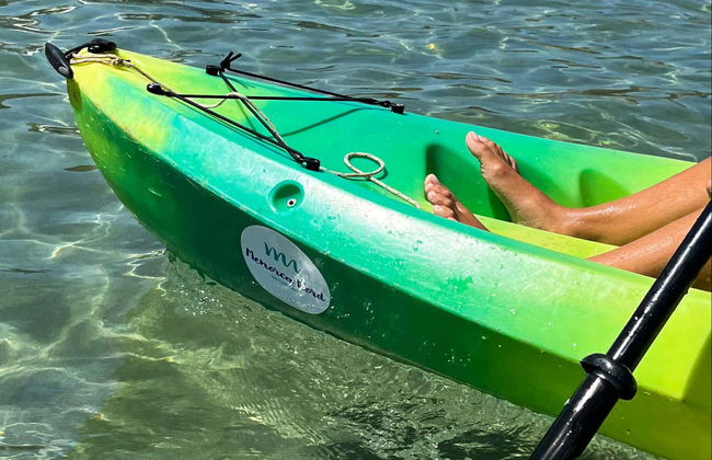 Tour en kayak por el Parque Natural de Mongofre - Foto 4