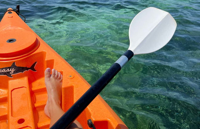 Tour en kayak por el Parque Natural de Mongofre - Foto 6
