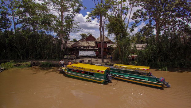 Excursão ao bosque Yanamono