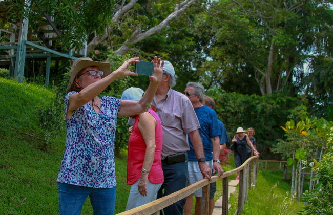 Tour de 3 o 4 días por el bosque Yanamono - Foto 4