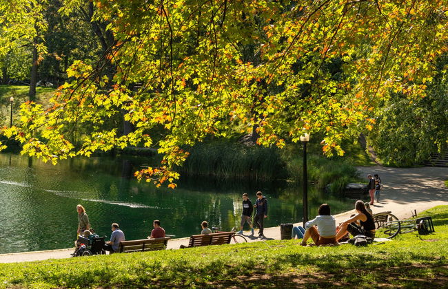 Tour de bicicleta por Montreal - Foto 3