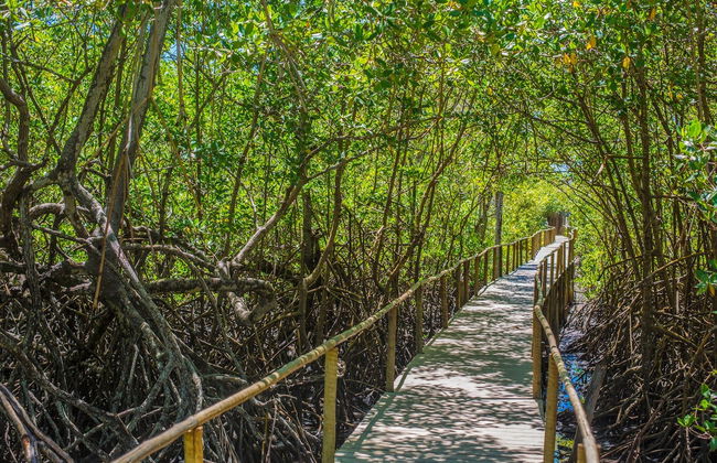 Excursão a Trancoso - Foto 6