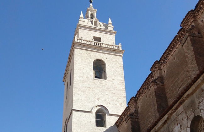 Tour privado por Tordesillas ¡Tú eliges - Foto 2