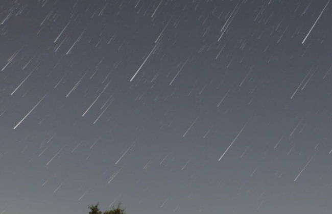 Observación de estrellas en los campos de lavanda - Foto 6
