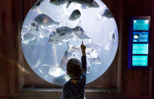 Entrada a SEA LIFE® Espira - Foto 1