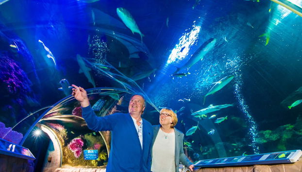 SEA LIFE® Speyer Ticket - Foto 2