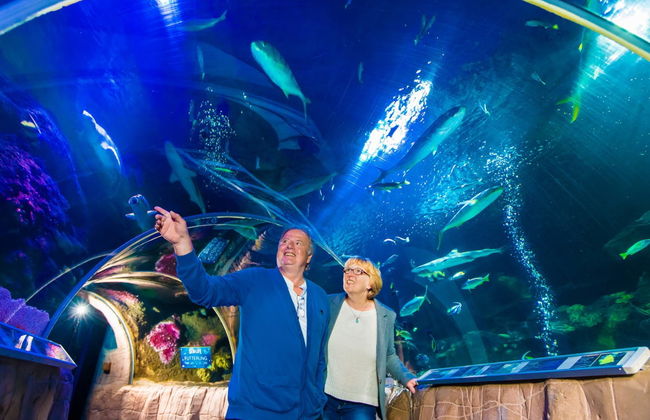 Entrada a SEA LIFE® Espira - Foto 2