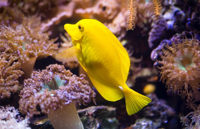 Entrada a SEA LIFE® Espira - Foto 3