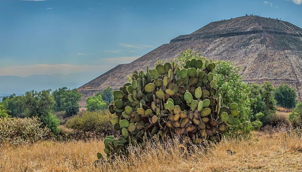 Tour de aventura por Teotihuacán - Foto 4