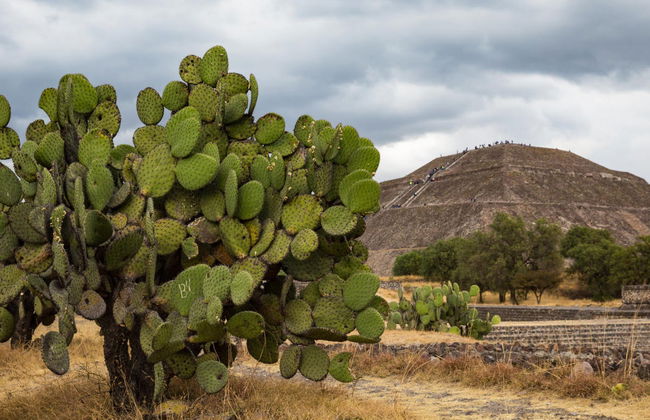 Visite complète de Teotihuacán à vélo - Photo 1