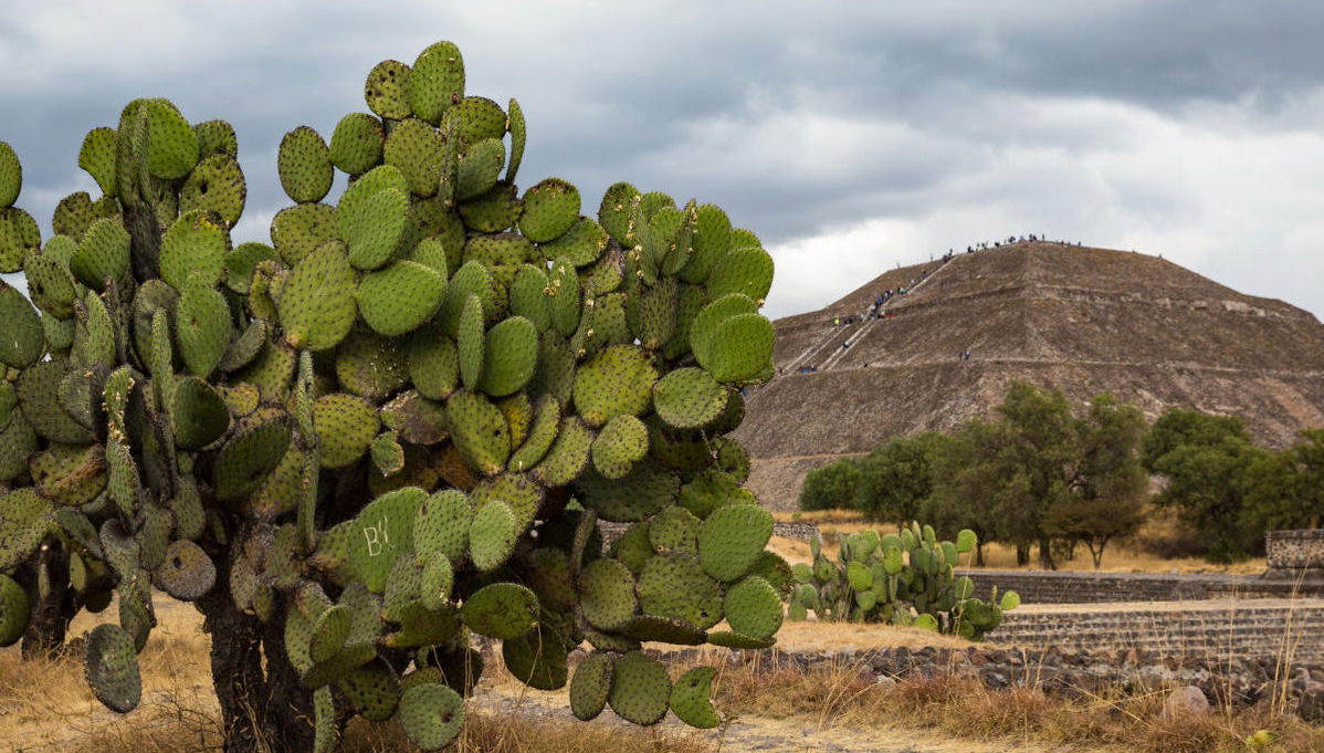 Tour de aventura por Teotihuacán - Foto 1