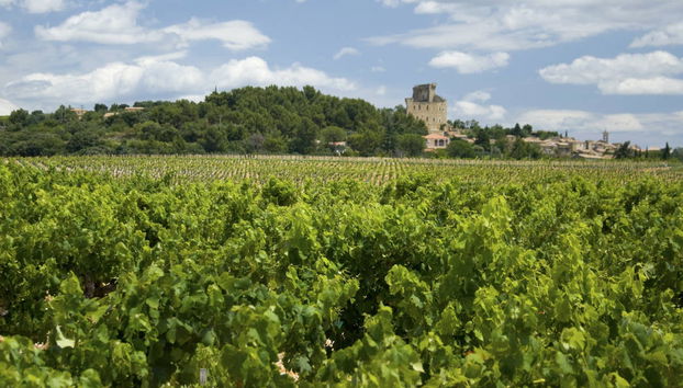 Excursión a Aviñón, Châteauneuf du Pape y Les Baux - Foto 3