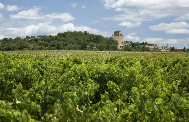 Excursión a Aviñón, Châteauneuf du Pape y Les Baux - Foto 3