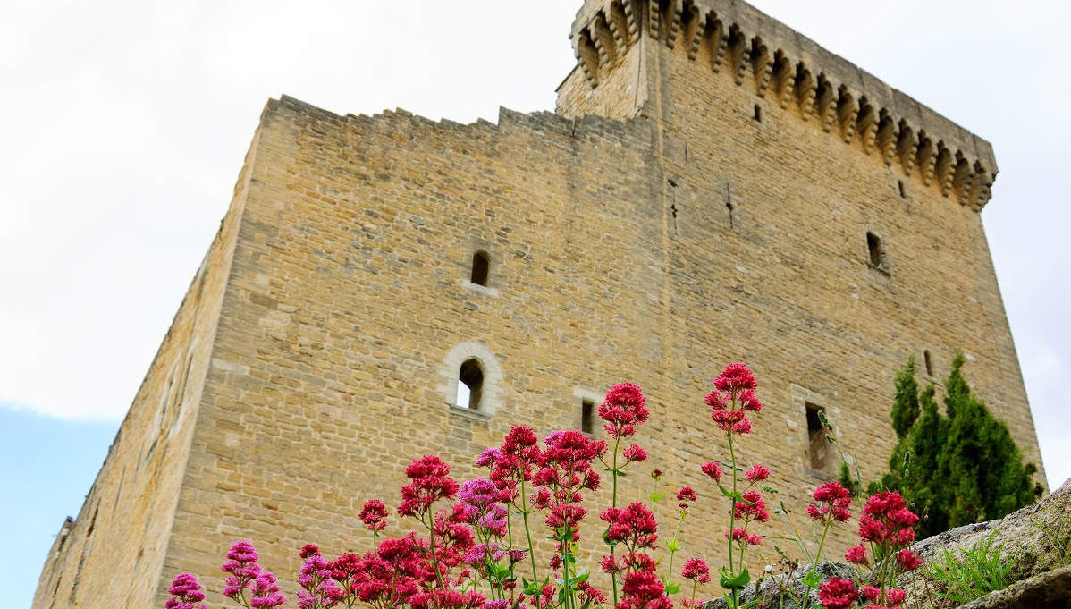 Excursión a Aviñón, Châteauneuf du Pape y Les Baux - Foto 1