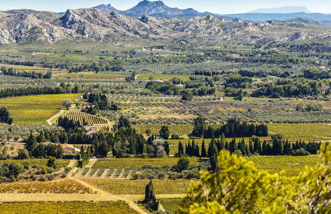Excursión a Aviñón, Châteauneuf du Pape y Les Baux - Foto 6
