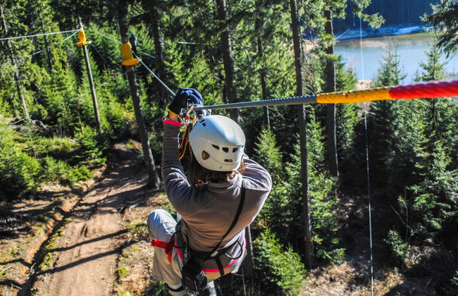 Zip line nel parco nazionale di Villarrica - Foto 1