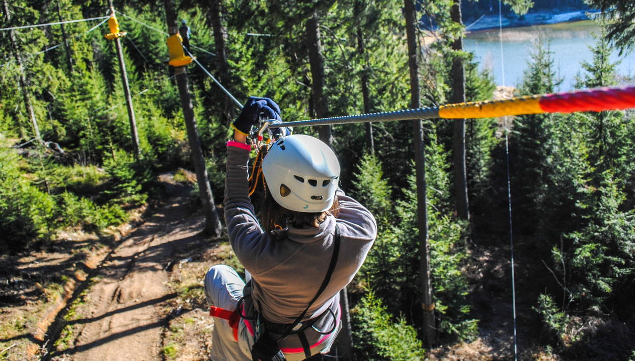 Zip line nel parco nazionale di Villarrica - Foto 1