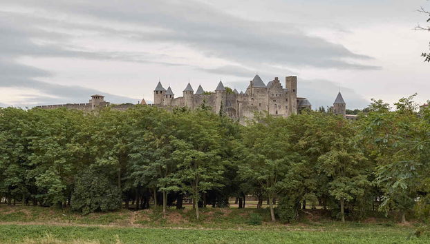 Entrada al castillo y murallas de Carcasona - Foto 5