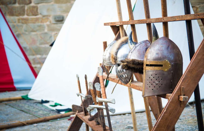 Entrada al castillo y murallas de Carcasona - Foto 7