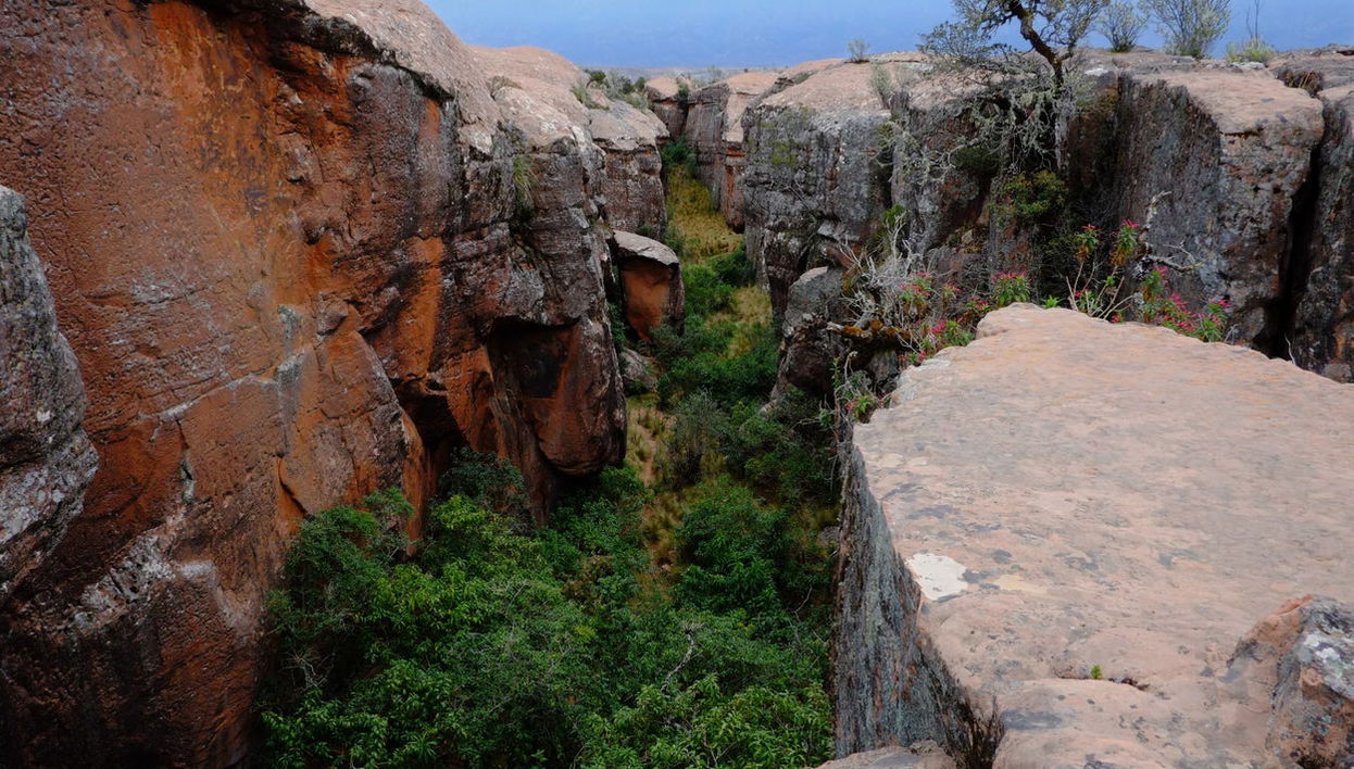 Excursión de 2 días a Toro Toro - Foto 1