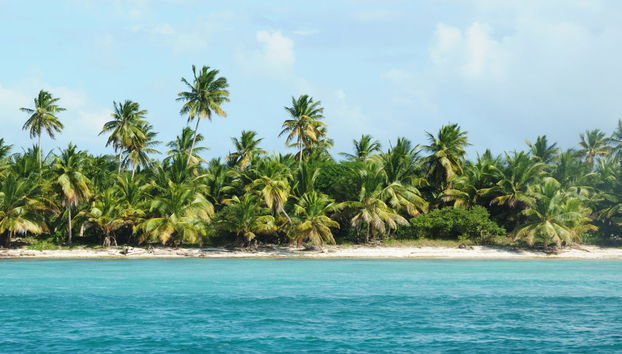 Excursión a Isla Catalina con snorkel - Foto 2