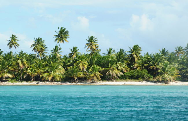 Catalina Island Day Trip + Snorkeling - Photo 2