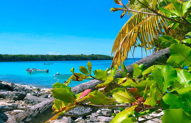 Catalina Island Day Trip + Snorkeling - Photo 1