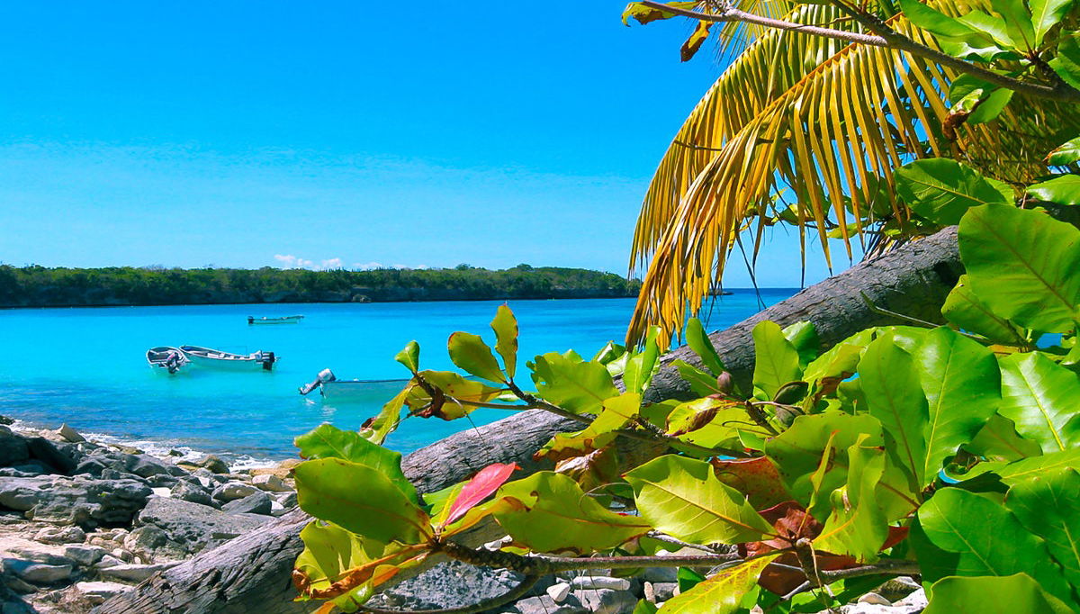 Excursión a Isla Catalina con snorkel - Foto 1
