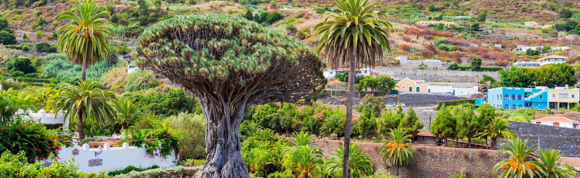 Excursión al Teide, Icod y Garachico desde el sur de Tenerife - Foto 1
