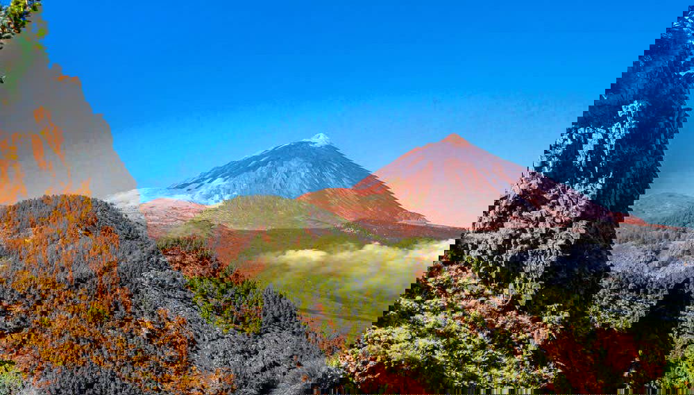 Teide National Park, Icod, Masca, & Garachico Day Trip - Foto 1