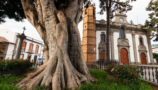 Excursión a Teror, el Roque Nublo y la caldera de Bandama - Foto 5