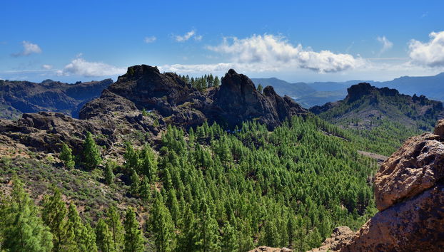 Excursión a Teror, el Roque Nublo y la caldera de Bandama - Foto 4