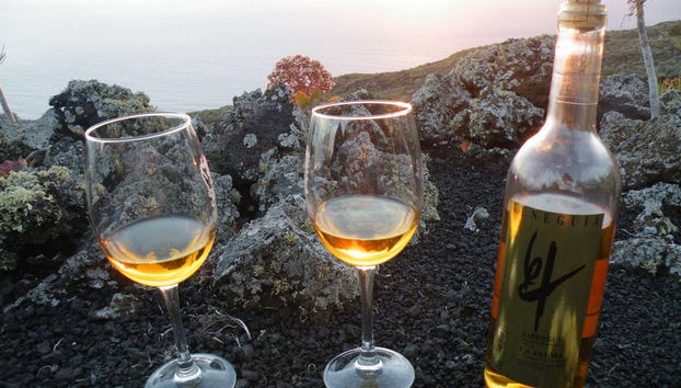Visita a las bodegas Teneguía - Foto 3