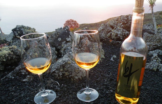 Visita a las bodegas Teneguía - Foto 3
