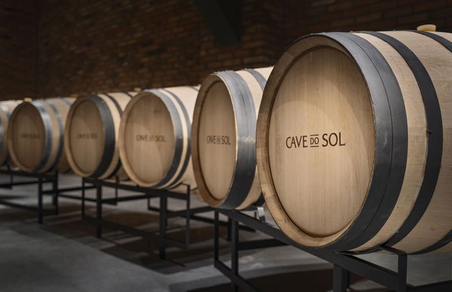 Tour del vino nel Vale dos Vinhedos - Foto 6